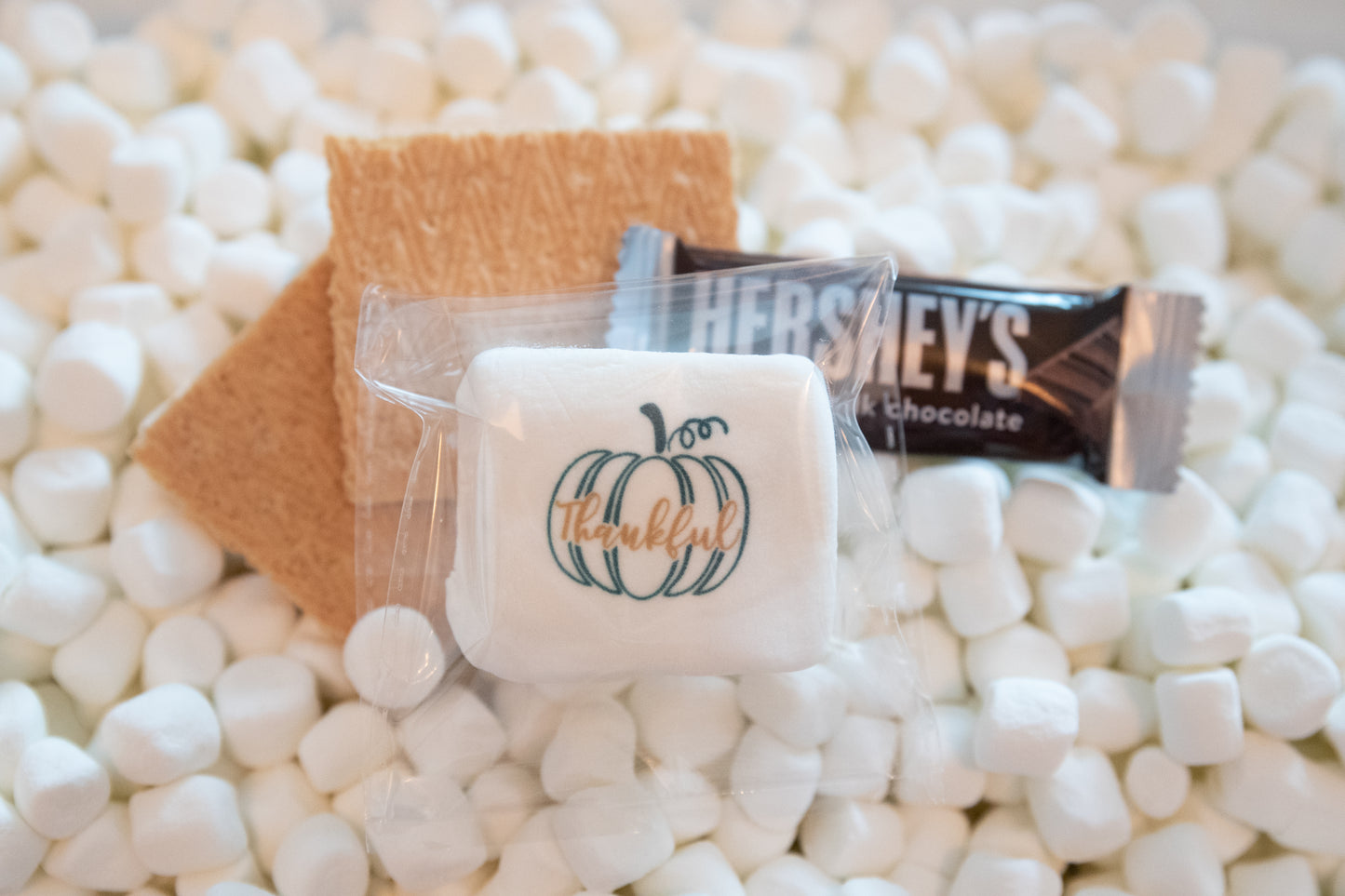 Custom S'mores for Events or Parties - Add Your Own Design
